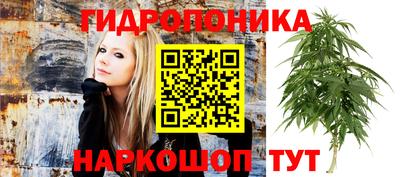 амф Обь