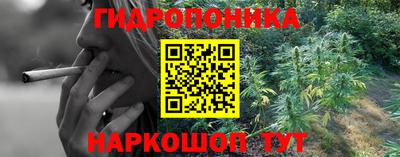 амф Обь