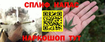 мдпв Обнинск