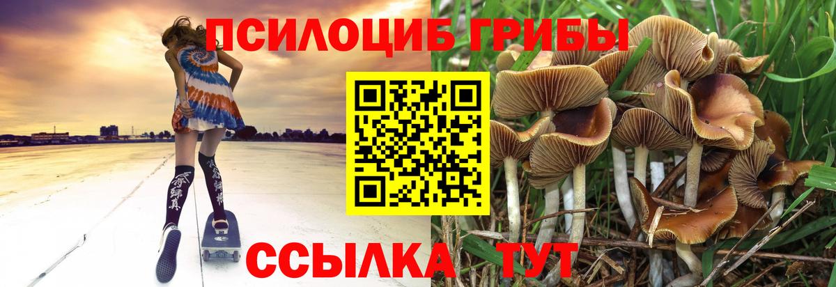 Анжеро-Судженск  Галлюциногенные грибы Magic Shrooms  Вход с VPN 